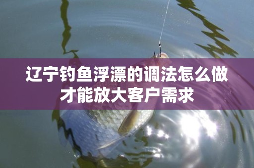 辽宁钓鱼浮漂的调法怎么做才能放大客户需求