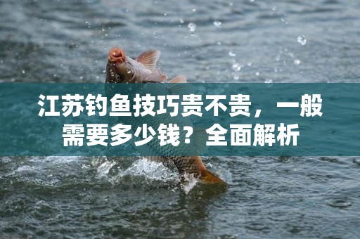 江苏钓鱼技巧贵不贵，一般需要多少钱？全面解析