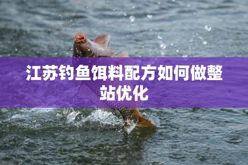 江苏钓鱼饵料配方如何做整站优化