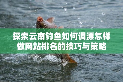 探索云南钓鱼如何调漂怎样做网站排名的技巧与策略