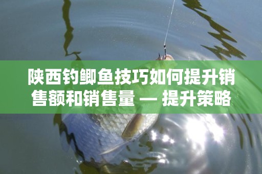 陕西钓鲫鱼技巧如何提升销售额和销售量 — 提升策略与实践