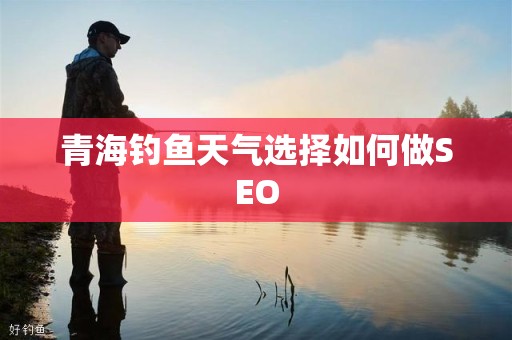 青海钓鱼天气选择如何做SEO