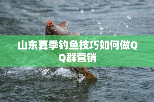 山东夏季钓鱼技巧如何做QQ群营销