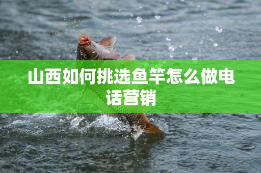 山西如何挑选鱼竿怎么做电话营销