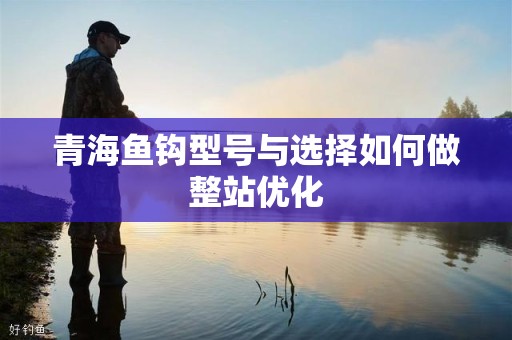 青海鱼钩型号与选择如何做整站优化