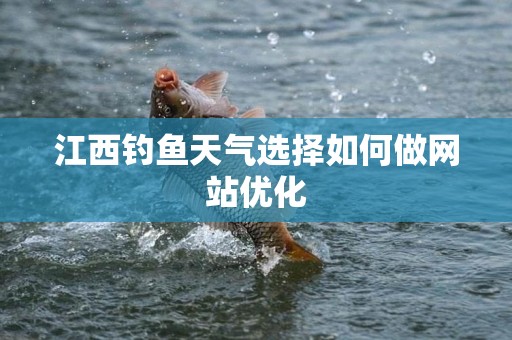 江西钓鱼天气选择如何做网站优化