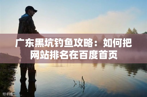 广东黑坑钓鱼攻略：如何把网站排名在百度首页