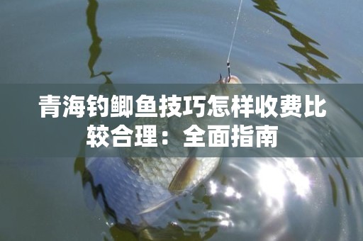 青海钓鲫鱼技巧怎样收费比较合理：全面指南