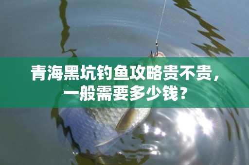 青海黑坑钓鱼攻略贵不贵，一般需要多少钱？