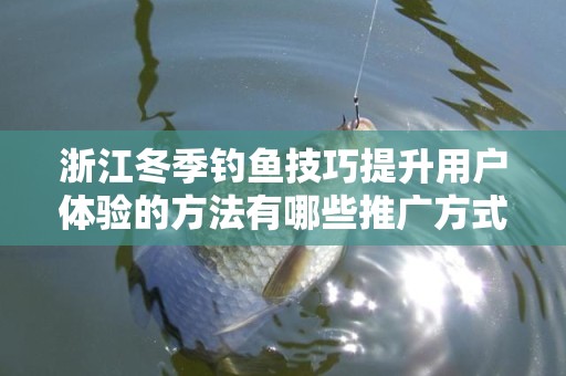 浙江冬季钓鱼技巧提升用户体验的方法有哪些推广方式有哪些