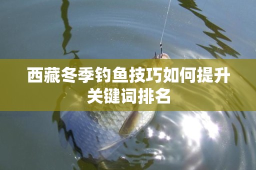 西藏冬季钓鱼技巧如何提升关键词排名