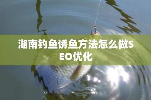湖南钓鱼诱鱼方法怎么做SEO优化