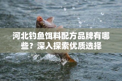 河北钓鱼饵料配方品牌有哪些？深入探索优质选择
