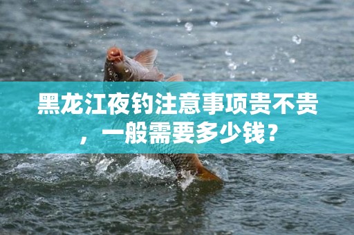 黑龙江夜钓注意事项贵不贵，一般需要多少钱？