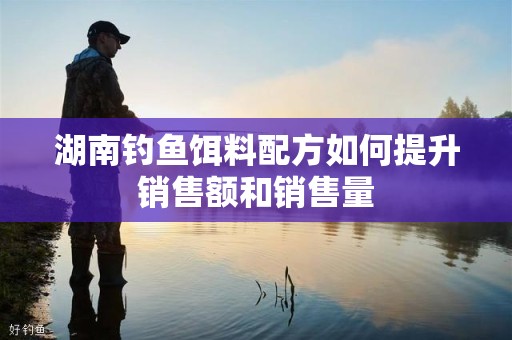 湖南钓鱼饵料配方如何提升销售额和销售量