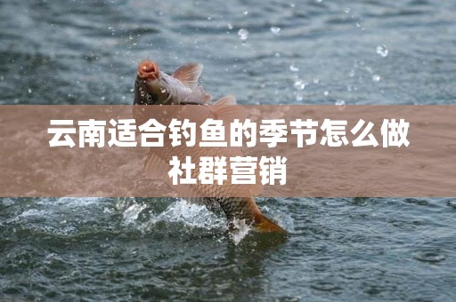 云南适合钓鱼的季节怎么做社群营销