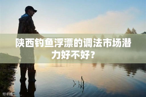 陕西钓鱼浮漂的调法市场潜力好不好？