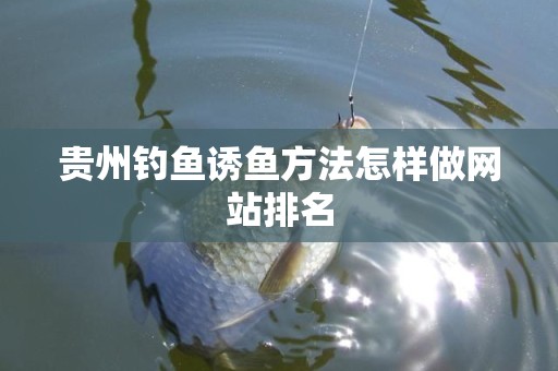 贵州钓鱼诱鱼方法怎样做网站排名