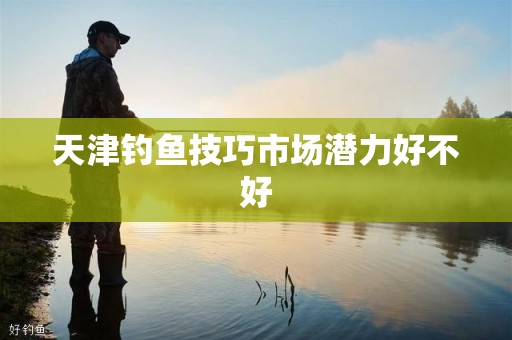 天津钓鱼技巧市场潜力好不好
