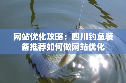 网站优化攻略：四川钓鱼装备推荐如何做网站优化