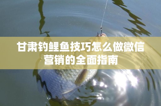 甘肃钓鲤鱼技巧怎么做微信营销的全面指南