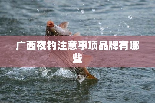 广西夜钓注意事项品牌有哪些