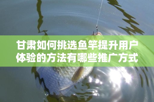 甘肃如何挑选鱼竿提升用户体验的方法有哪些推广方式有哪些