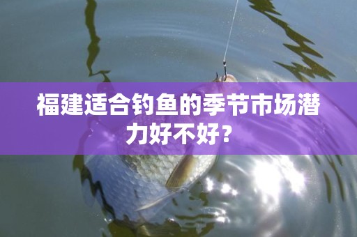 福建适合钓鱼的季节市场潜力好不好？
