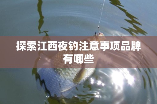 探索江西夜钓注意事项品牌有哪些
