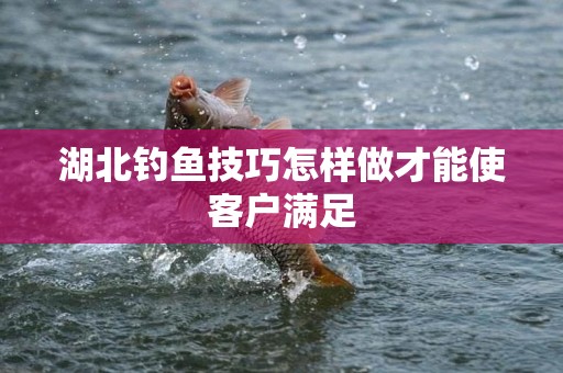 湖北钓鱼技巧怎样做才能使客户满足