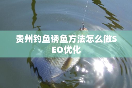 贵州钓鱼诱鱼方法怎么做SEO优化