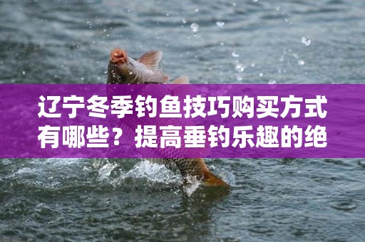 辽宁冬季钓鱼技巧购买方式有哪些？提高垂钓乐趣的绝佳指南
