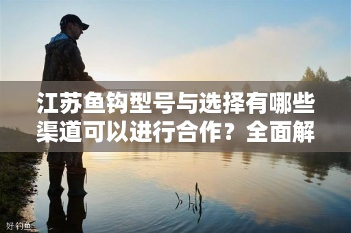 江苏鱼钩型号与选择有哪些渠道可以进行合作？全面解析合作途径