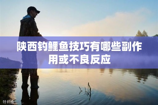 陕西钓鲤鱼技巧有哪些副作用或不良反应