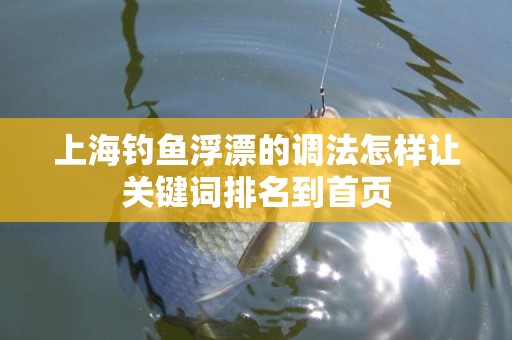 上海钓鱼浮漂的调法怎样让关键词排名到首页