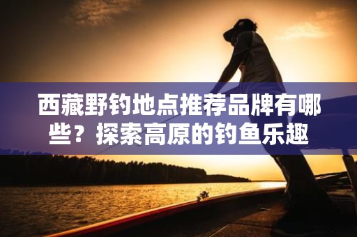 西藏野钓地点推荐品牌有哪些？探索高原的钓鱼乐趣
