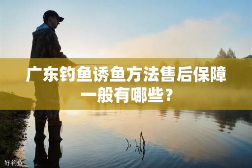 广东钓鱼诱鱼方法售后保障一般有哪些？