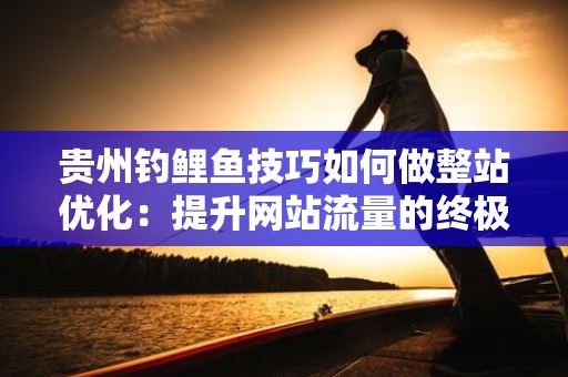 贵州钓鲤鱼技巧如何做整站优化：提升网站流量的终极指南