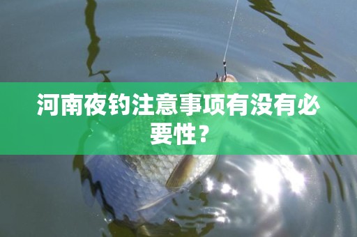 河南夜钓注意事项有没有必要性？