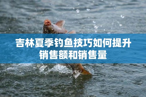 吉林夏季钓鱼技巧如何提升销售额和销售量
