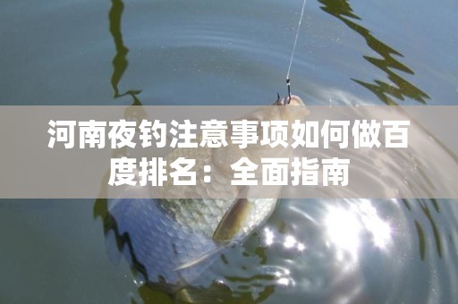 河南夜钓注意事项如何做百度排名：全面指南