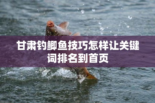 甘肃钓鲫鱼技巧怎样让关键词排名到首页