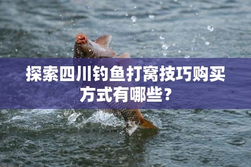 探索四川钓鱼打窝技巧购买方式有哪些？