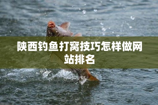 陕西钓鱼打窝技巧怎样做网站排名