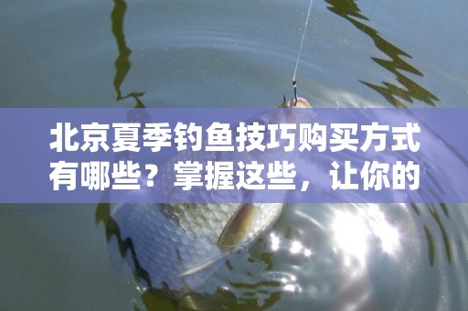 北京夏季钓鱼技巧购买方式有哪些？掌握这些，让你的钓鱼体验更上一层楼！