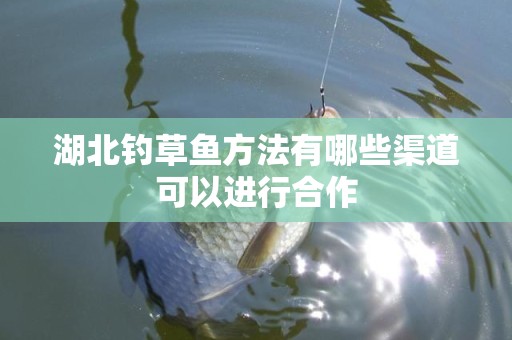 湖北钓草鱼方法有哪些渠道可以进行合作