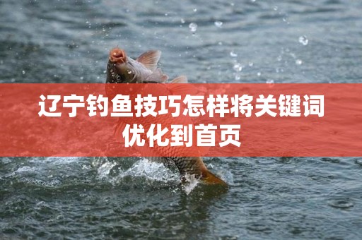 辽宁钓鱼技巧怎样将关键词优化到首页