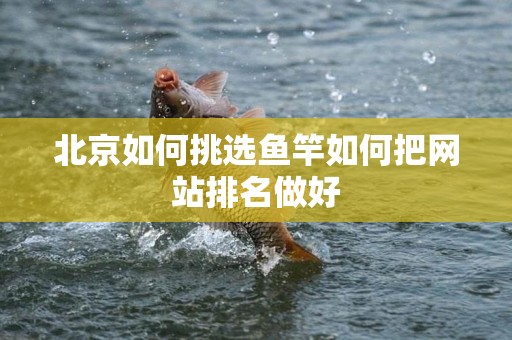 北京如何挑选鱼竿如何把网站排名做好