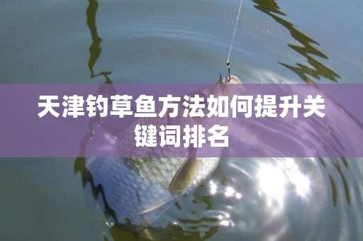天津钓草鱼方法如何提升关键词排名
