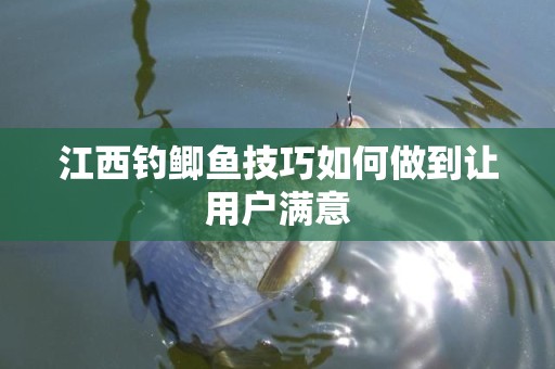 江西钓鲫鱼技巧如何做到让用户满意